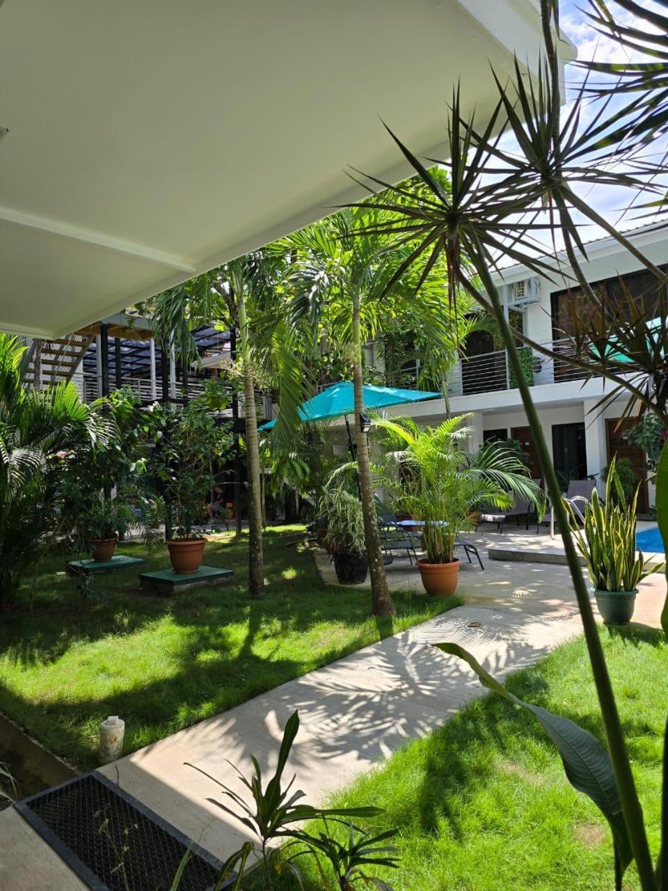 Hostel Wide Mouth Frog Quepos Manuel Antonio Exteriér fotografie