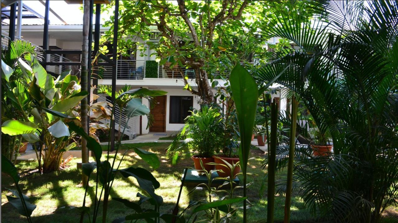 Hostel Wide Mouth Frog Quepos Manuel Antonio Exteriér fotografie