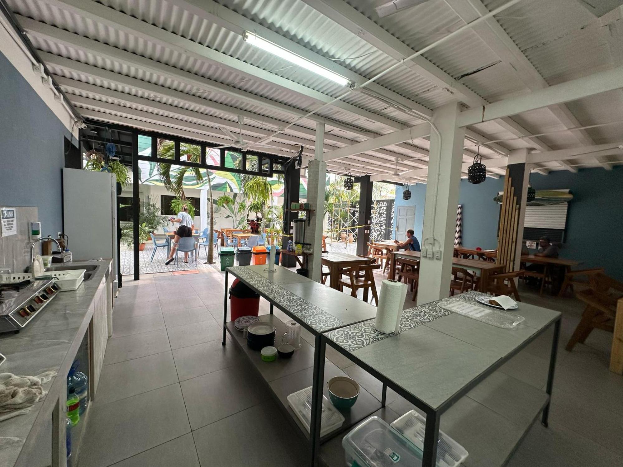 Hostel Wide Mouth Frog Quepos Manuel Antonio Exteriér fotografie