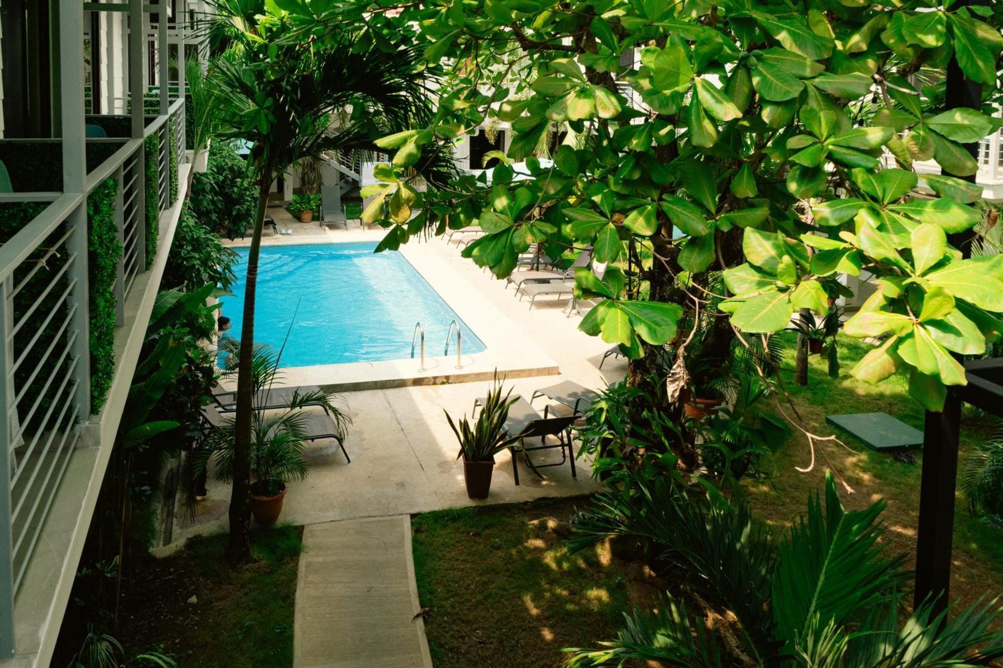 Hostel Wide Mouth Frog Quepos Manuel Antonio Exteriér fotografie