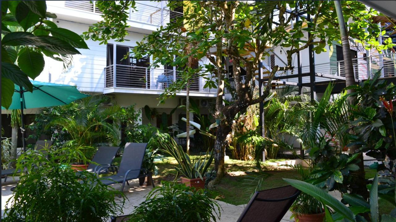 Hostel Wide Mouth Frog Quepos Manuel Antonio Exteriér fotografie